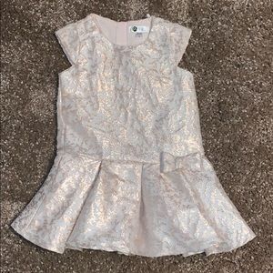Girls special occasion dress